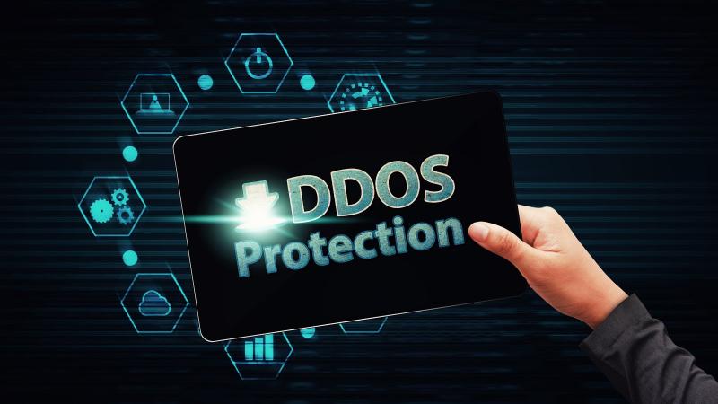 DDoS Protection
